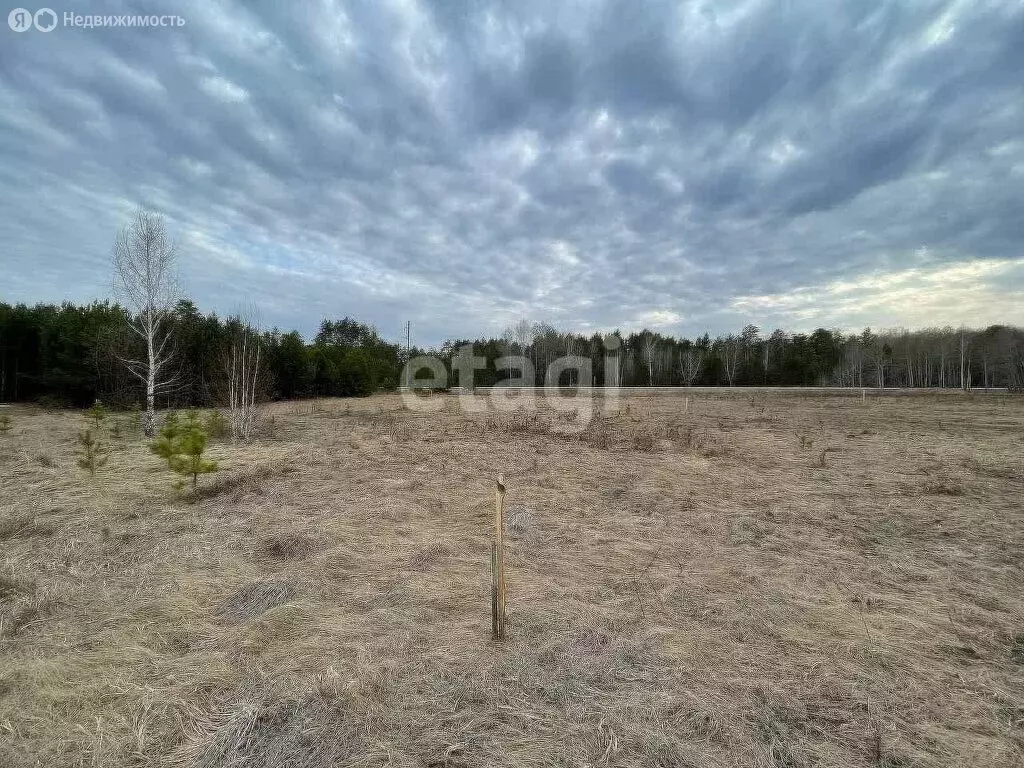 Участок в Тюменский район, деревня Головина (12.2 м) - Фото 1