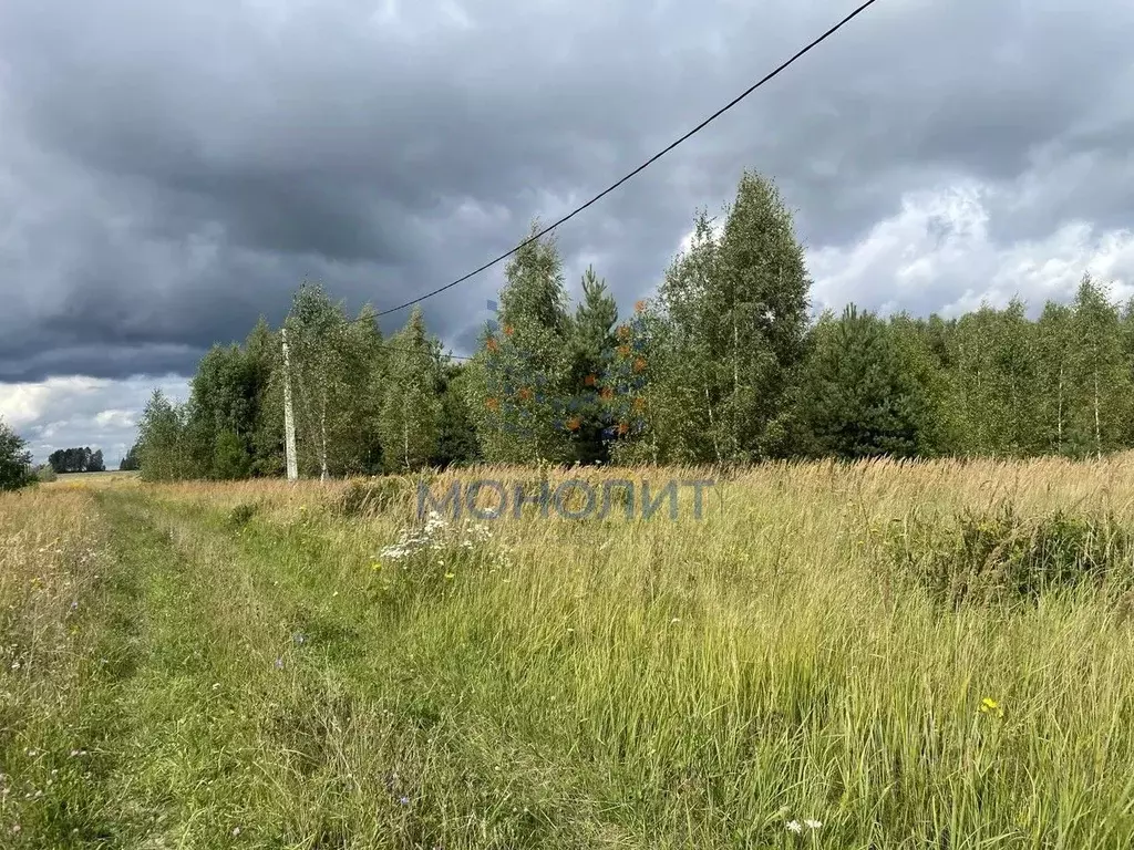Участок в Тульская область, Ясногорский район, Иваньковское с/пос, д. ... - Фото 2