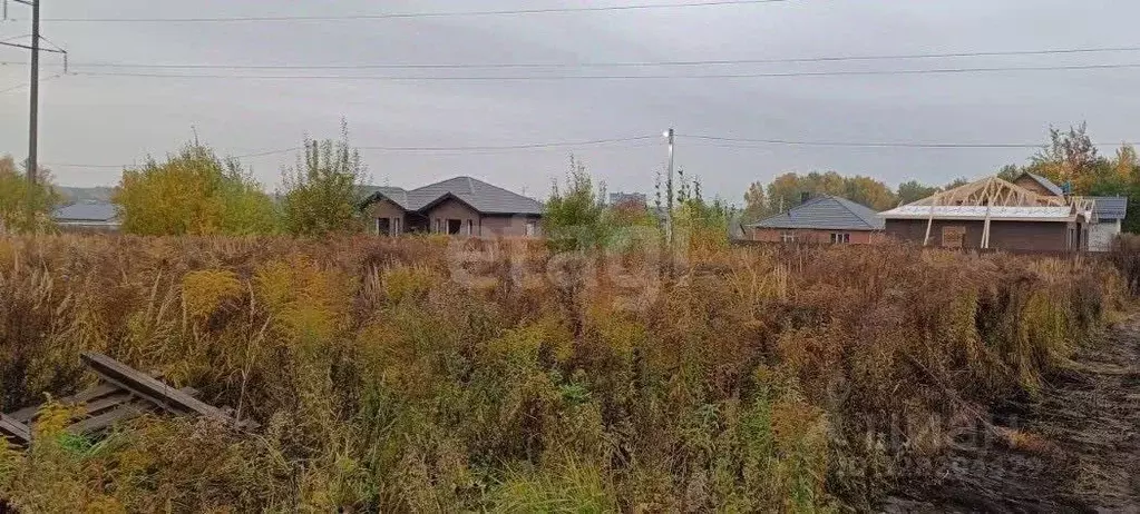 Участок в Брянская область, Брянский район, Снежское с/пос, с. ... - Фото 2