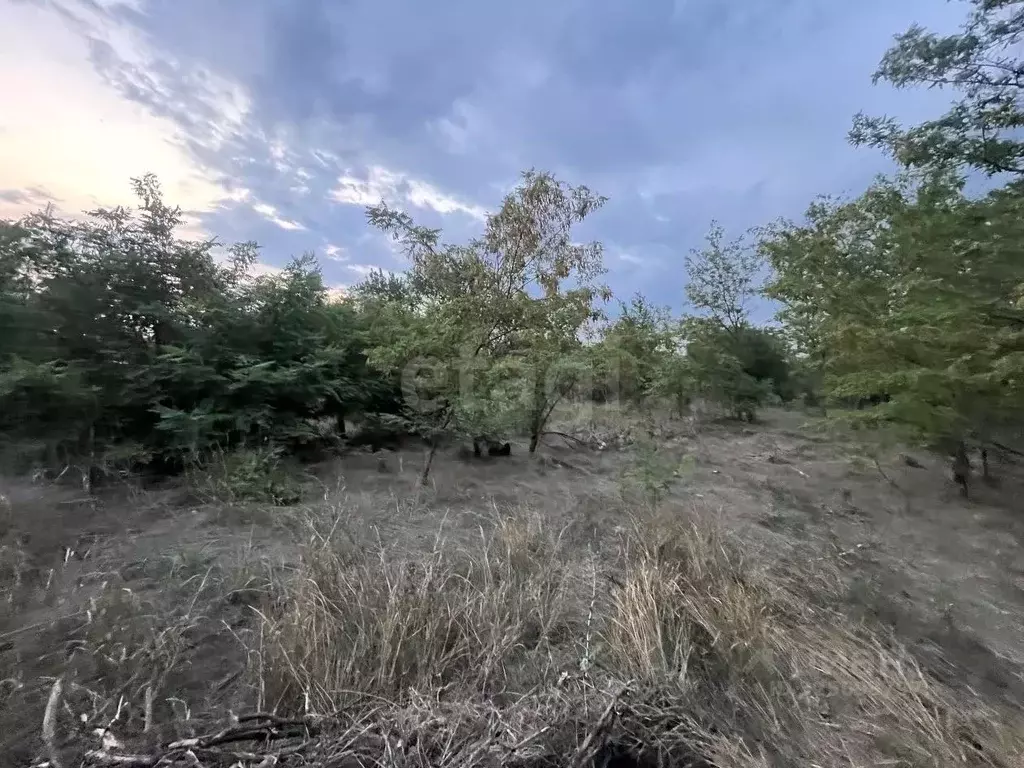 Дом в Ростовская область, Азовский район, с. Кулешовка Первомайская ... - Фото 2