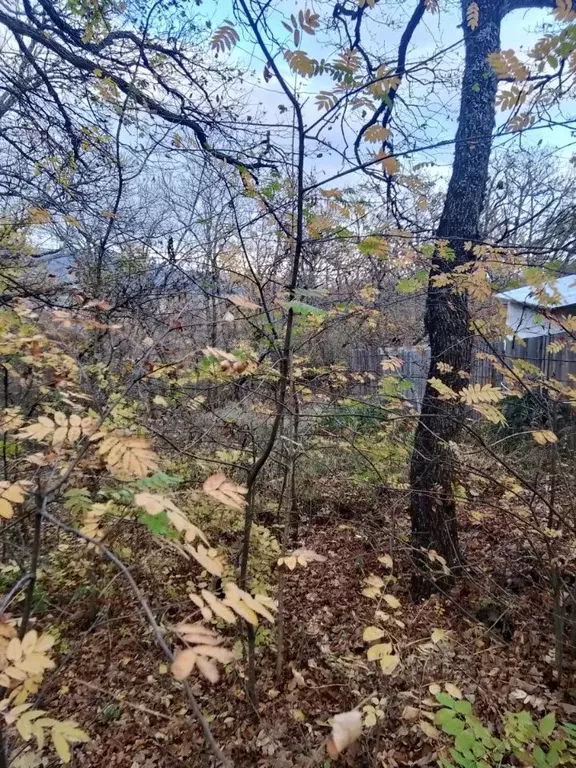 Участок в Крым, Алушта муниципальный округ, с. Изобильное ул. ... - Фото 1