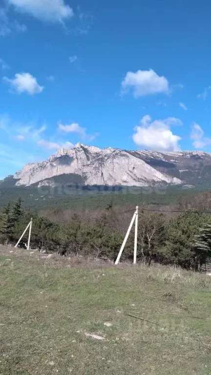 Участок в Крым, Ялта городской округ, Гаспра пгт ул. Горького, 24 ... - Фото 1