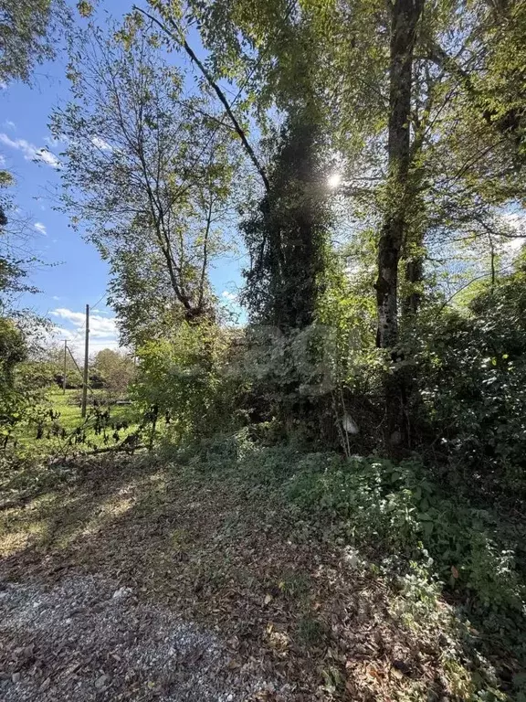 Участок в Краснодарский край, Геленджик  (6.0 сот.) - Фото 2