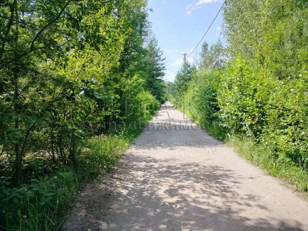 Участок в Ленинградская область, Гатчинский муниципальный округ, Дача ... - Фото 1