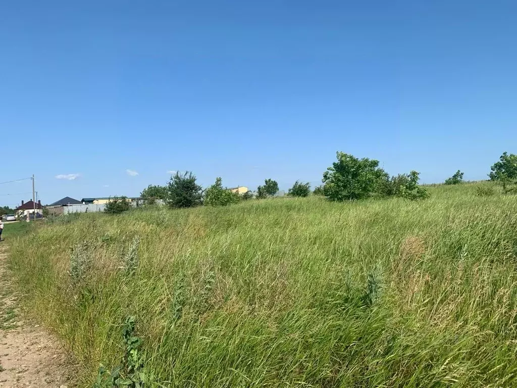 Участок в Краснодарский край, Анапа муниципальный округ, Уташ хут. ул. ... - Фото 2