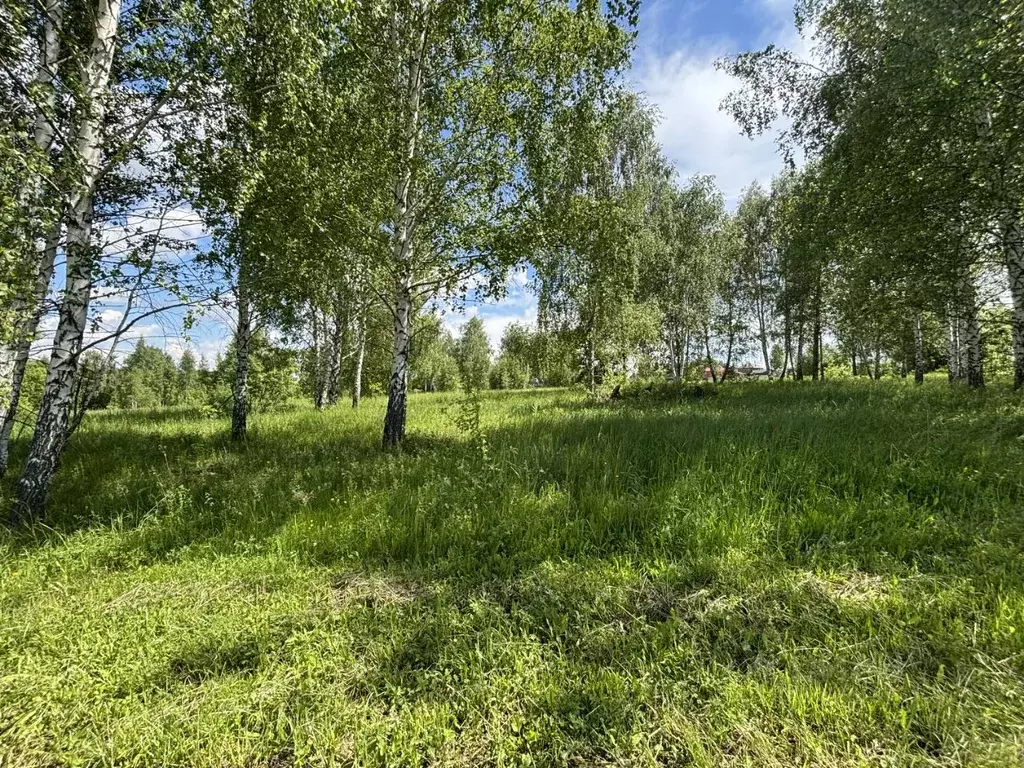Участок в Московская область, Луховицы Луговая ул., 142 (13.33 сот.) - Фото 1