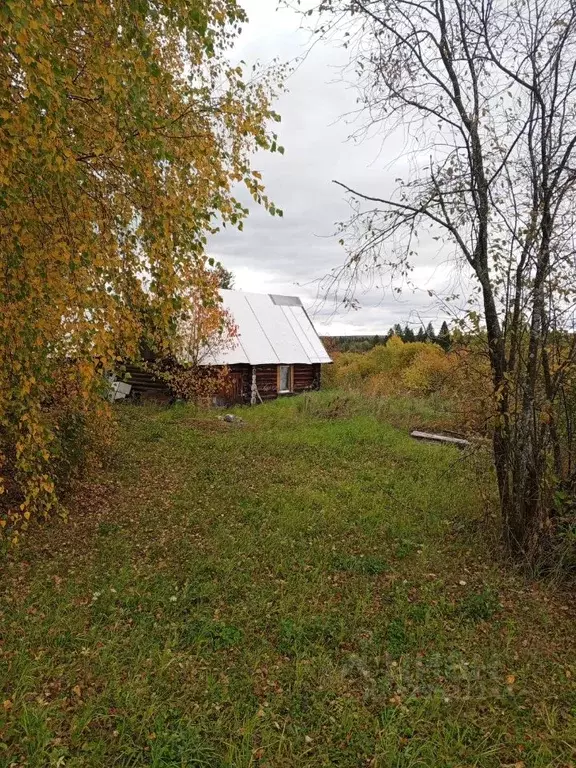 Участок в Пермский край, Пермский муниципальный округ, д. Березники ... - Фото 1
