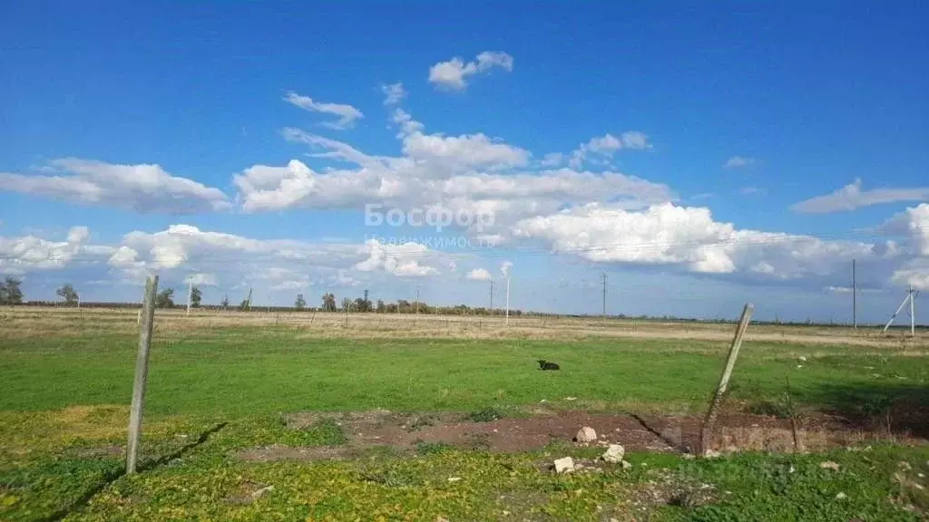 Участок в Крым, Кировский район, с. Приветное ул. Чехова (25.0 сот.) - Фото 1