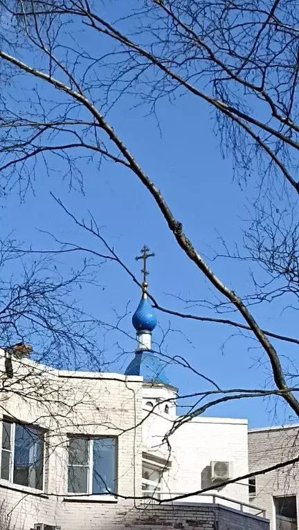 3-к кв. Санкт-Петербург пос. Шушары, Первомайская ул., 3 (78.0 м) - Фото 2