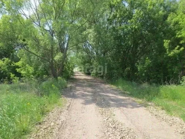 Участок в Татарстан, Тукаевский район, д. Малая Шильна  (6.49 сот.) - Фото 1