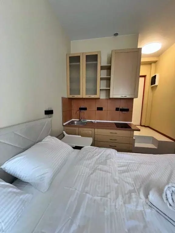 1-к кв. Москва Бауманская ул., 58/3С2 (18.0 м) - Фото 2