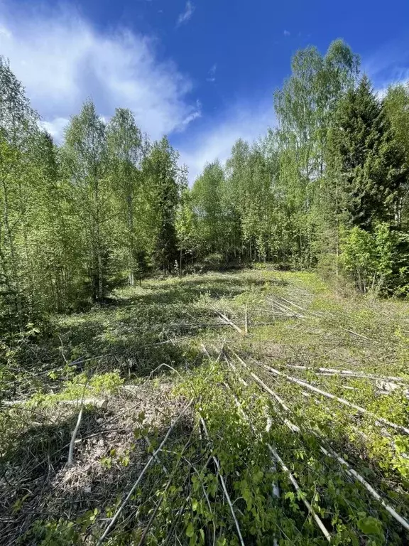 Участок в Архангельская область, Приморский муниципальный округ, ... - Фото 1