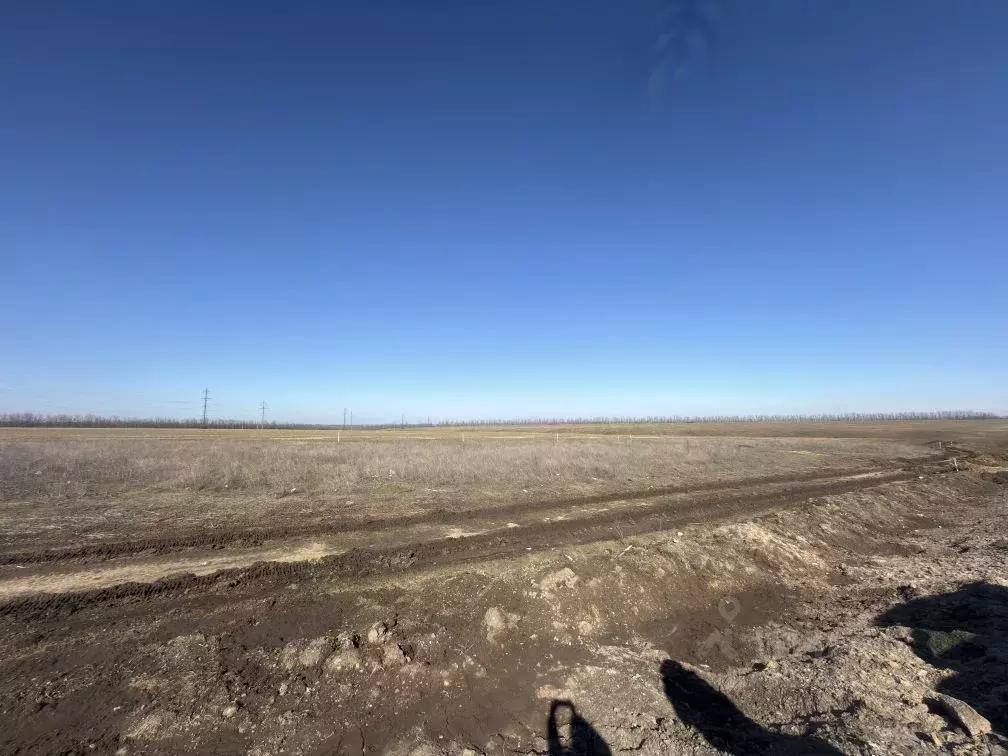 Участок в Ростовская область, Неклиновский район, Новобессергеневское ... - Фото 2