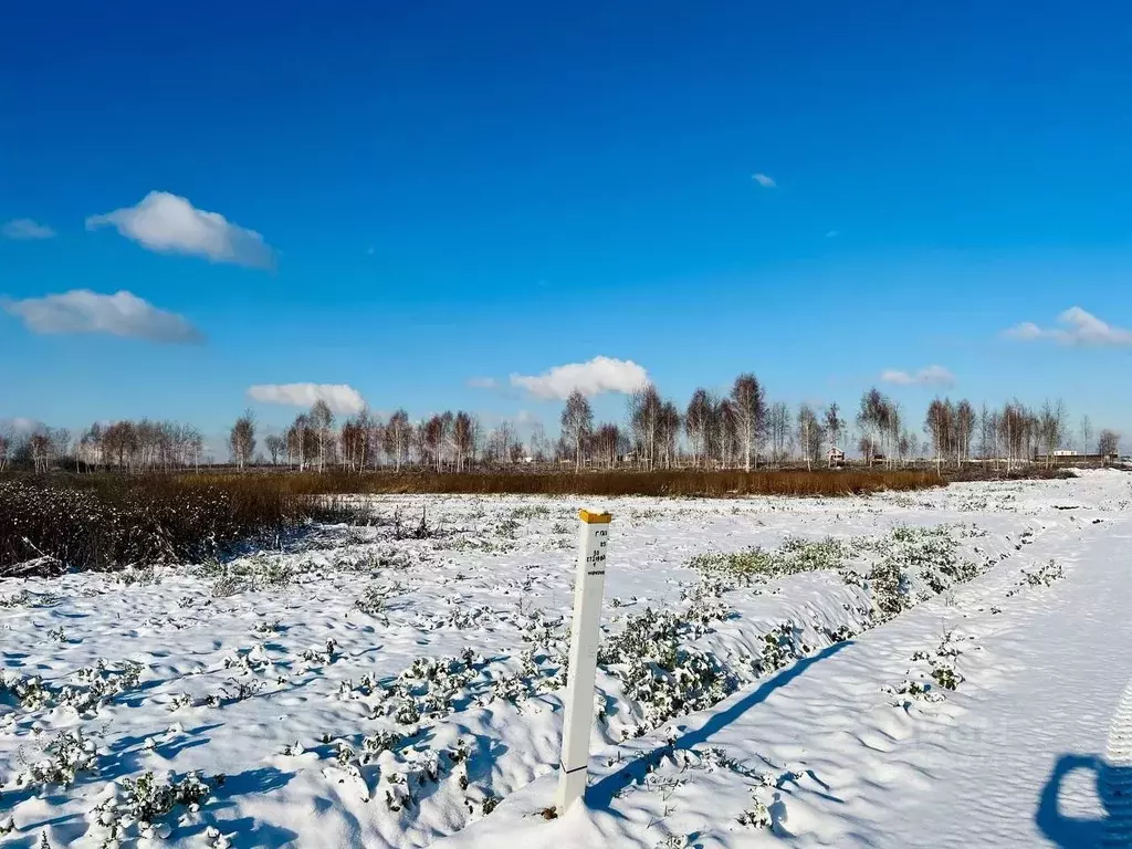 Участок в Московская область, Раменский муниципальный округ, д. Прудки ... - Фото 1