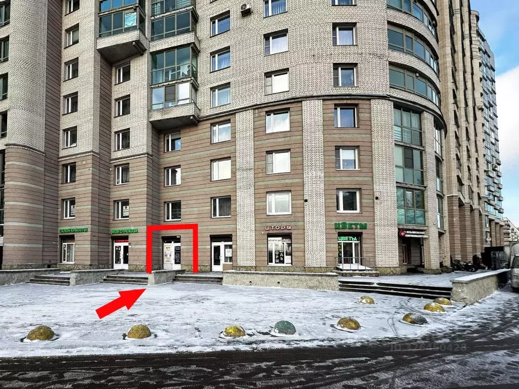 Помещение свободного назначения в Санкт-Петербург просп. Художников, ... - Фото 1