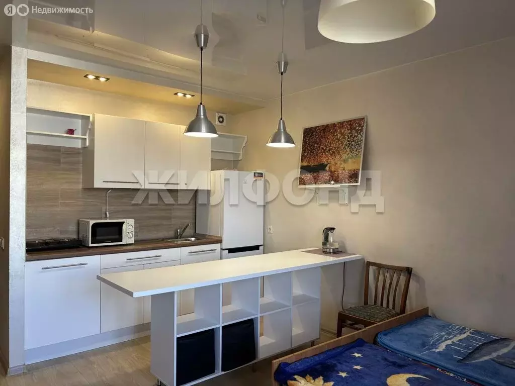Квартира-студия: Новосибирск, улица Виктора Уса, 15 (24.9 м) - Фото 2