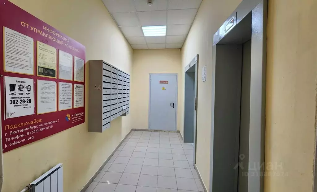 3-к кв. Свердловская область, Екатеринбург ул. Круговая, 18 (64.4 м) - Фото 1