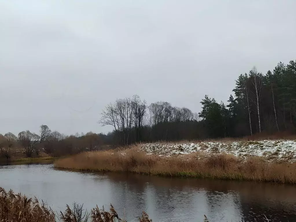 Дом в Тверская область, Калязинский муниципальный округ, д. Сужа ул. ... - Фото 2