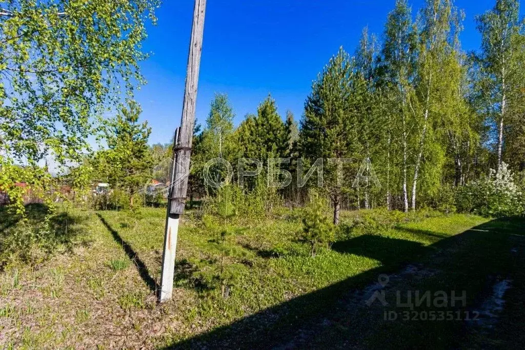 Участок в Тюменская область, Тюменский район, Москвичка СНТ ул. ... - Фото 1