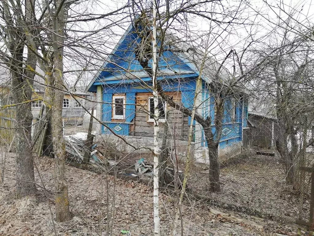 Дом в Новгородская область, с. Поддорье  (30 м) - Фото 1