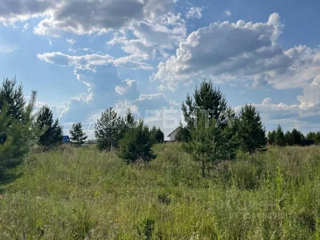 Участок в Тюменская область, Тюмень Ирбитский Тракт 3-й км от ... - Фото 1