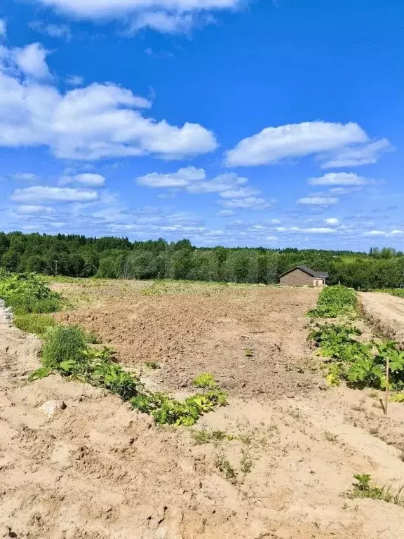 Участок в Коми, Сыктывдинский район, с. Выльгорт ул. Троицкая (9.4 ... - Фото 1