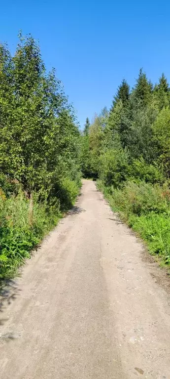 Участок в Московская область, Сергиево-Посадский городской округ, д. ... - Фото 1