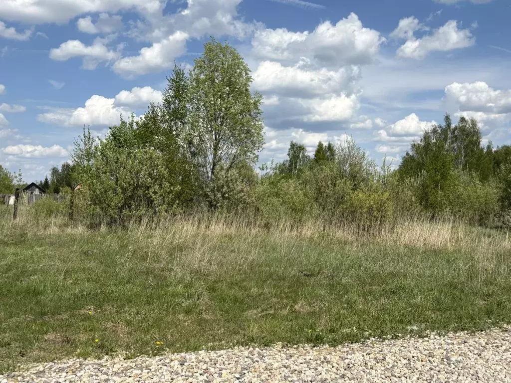Участок в Московская область, Орехово-Зуевский городской округ, д. ... - Фото 0