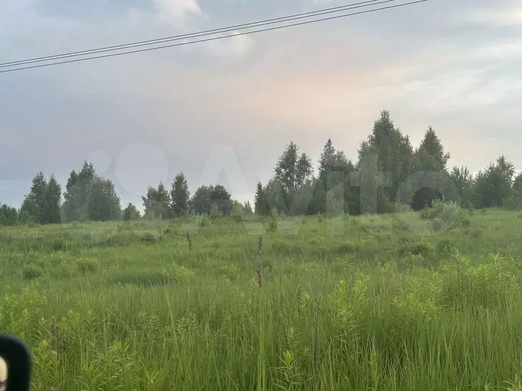 Участок 50 га (СНТ, ДНП) - Фото 0