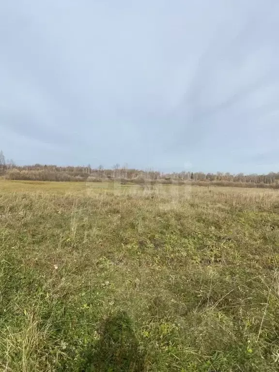 Участок в Свердловская область, Слободо-Туринский район, ... - Фото 2