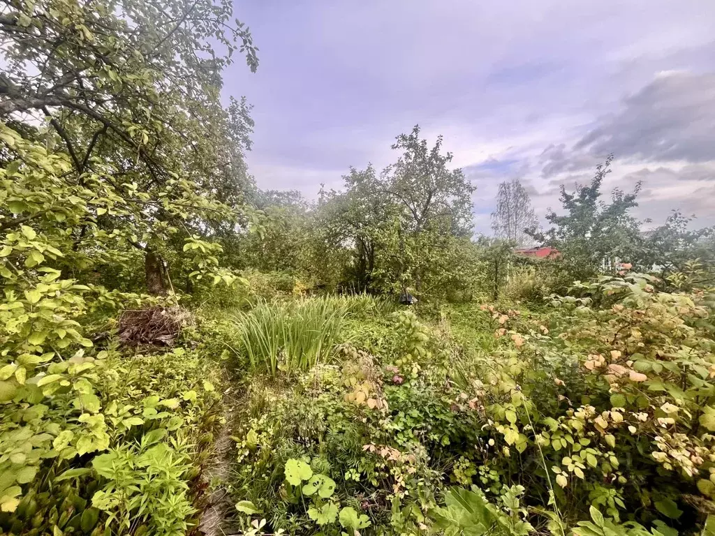 Участок в Санкт-Петербург Красный Октябрь СНТ,  (10.0 сот.) - Фото 2