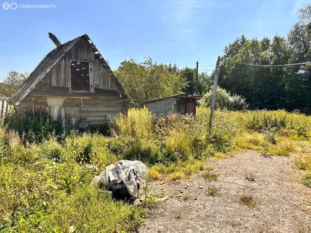Дом в Волосовский район, Бегуницкое сельское поселение, деревня ... - Фото 2
