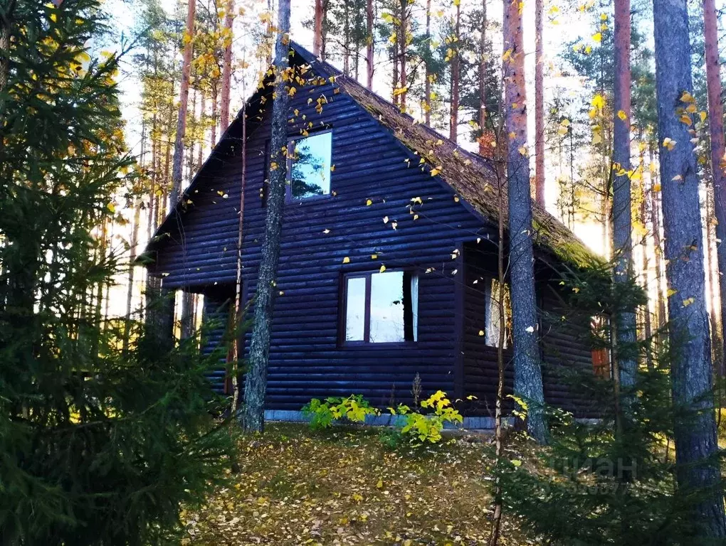 Дом в Ленинградская область, Выборгский район, Рощинское городское ... - Фото 0