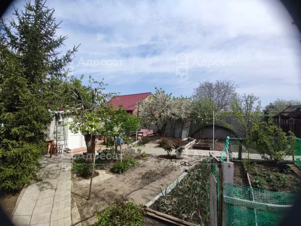 Дом в Волгоградская область, Волгоград ул. Клавы Панчишкиной (66 м) - Фото 0