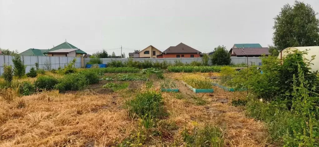 Участок в Новосибирская область, Мошковский район, пос. Октябрьский, ... - Фото 2