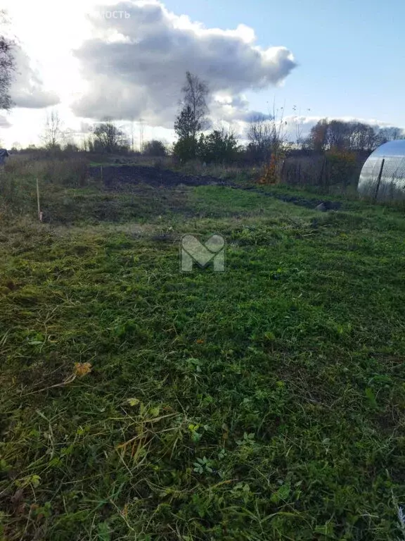 Участок в Волосовский район, Большеврудское сельское поселение, ... - Фото 2