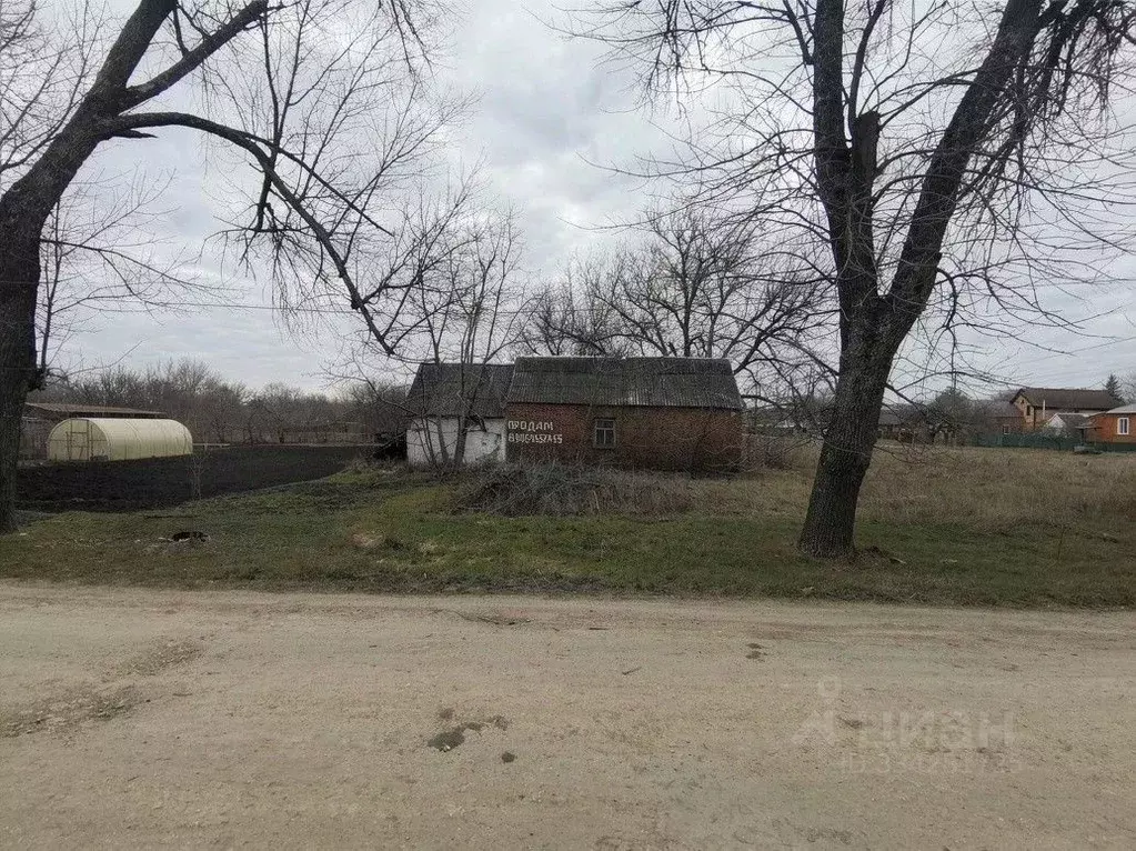 Участок в Ростовская область, Неклиновский район, с. Федоровка ул. ... - Фото 2