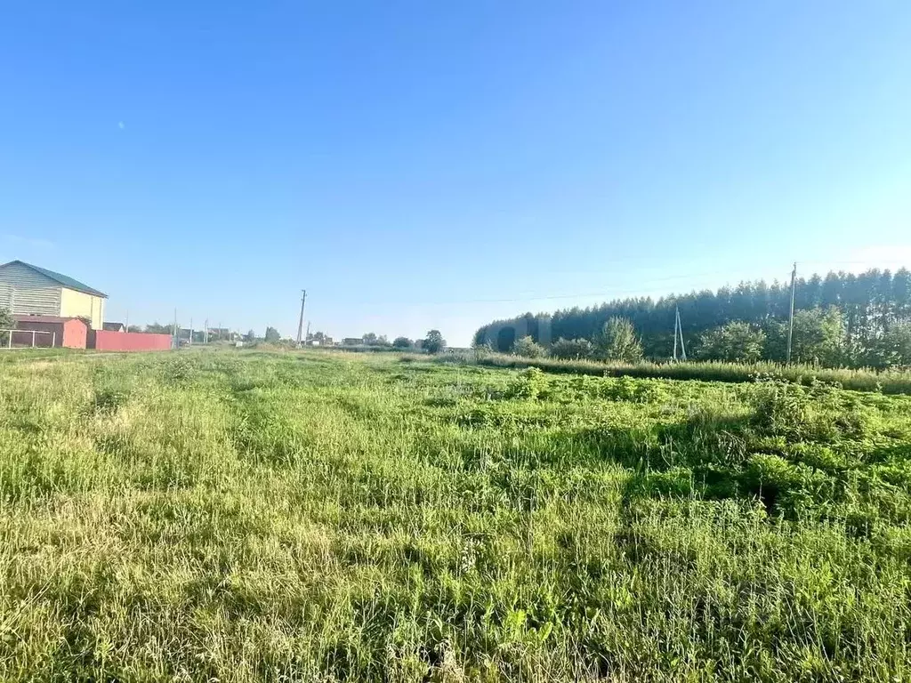 Участок в Мордовия, Лямбирский район, с. Татарская Тавла  (15.95 сот.) - Фото 1