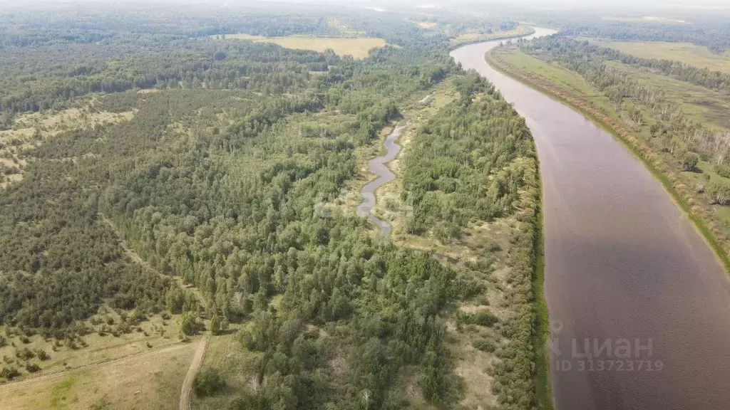 Участок в Тюменская область, Тюменский район, д. Речкина  (10.0 сот.) - Фото 0