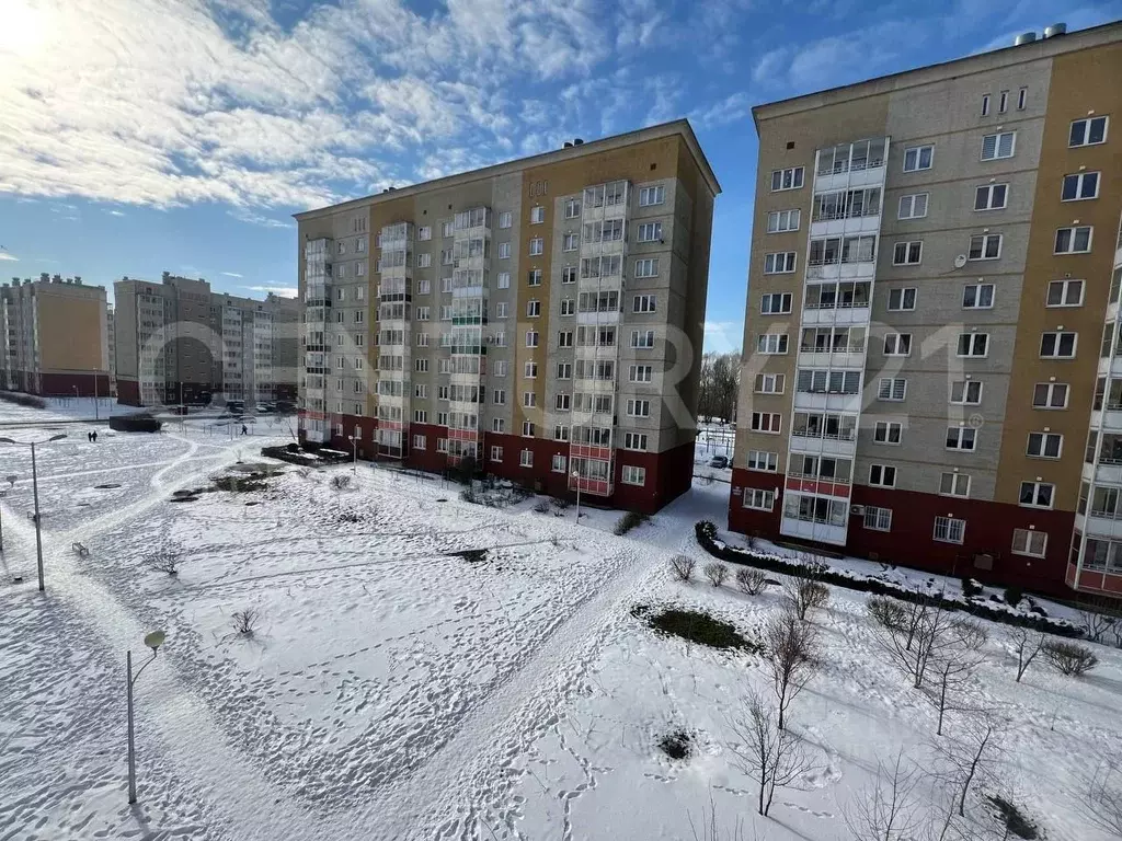 1-к кв. Калининградская область, Калининград ул. Левитана, 63к1 (36.2 ... - Фото 1