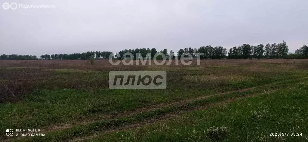Участок в Малиновка 1-я, улица Чайковского (10 м) - Фото 1