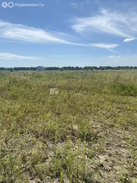 Участок в посёлок Центральный, Белокурихинская улица, 10А (8 м) - Фото 2