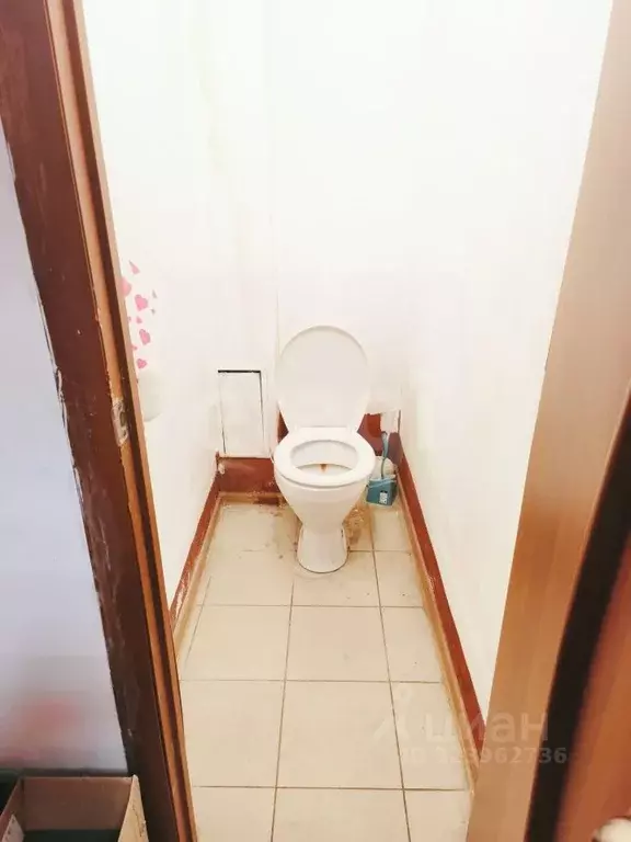 Офис в Тамбовская область, Тамбов городской округ, пос. Строитель, ... - Фото 1