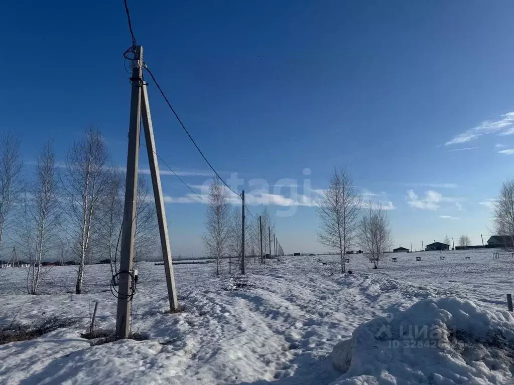Участок в Пензенская область, с. Бессоновка проезд 1-й Ясный (10.0 ... - Фото 1