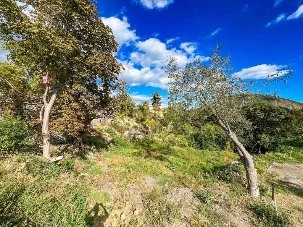 Участок в Крым, Ялта городской округ, Краснокаменка пгт ул. ... - Фото 1