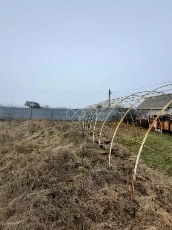 Участок в Волгоградская область, Городищенский район, Орловское с/пос, ... - Фото 0