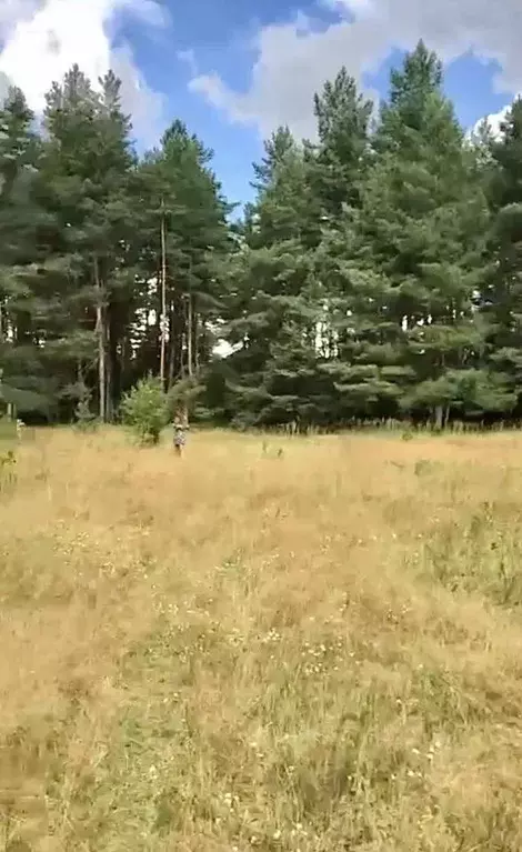 Участок в Московская область, Шатура муниципальный округ, д. ... - Фото 2