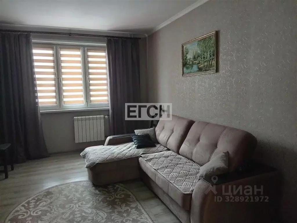 3-к кв. Московская область, Балашиха Янтарный мкр, ул. Кольцевая, 8 ... - Фото 1