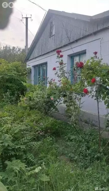 Дом в Белогорский район, Зеленогорское сельское поселение, село Балки, ... - Фото 2