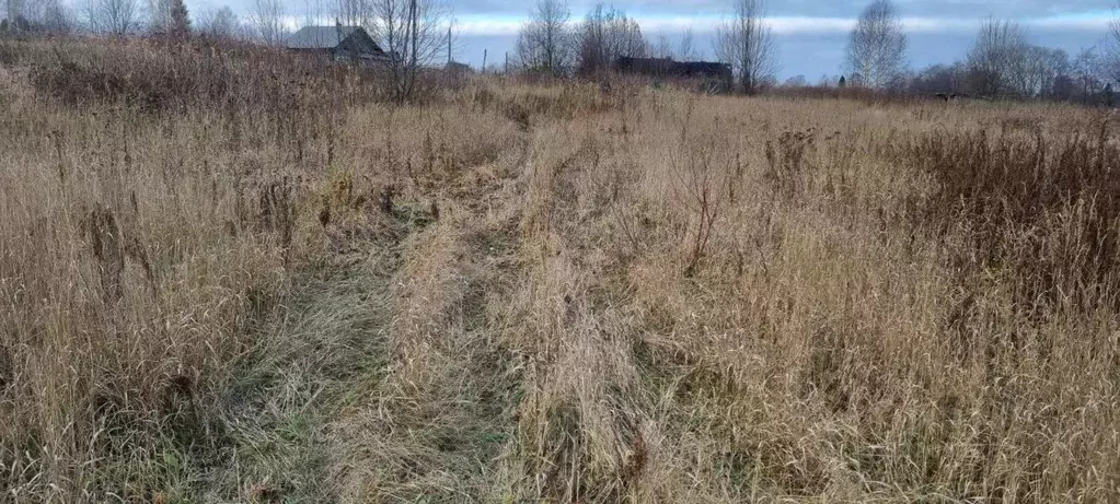 Участок в Пермский край, Краснокамский муниципальный округ, д. Даньки ... - Фото 2